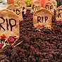 Chokladmousse serverad som en kyrkogård