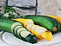 Zucchini squash